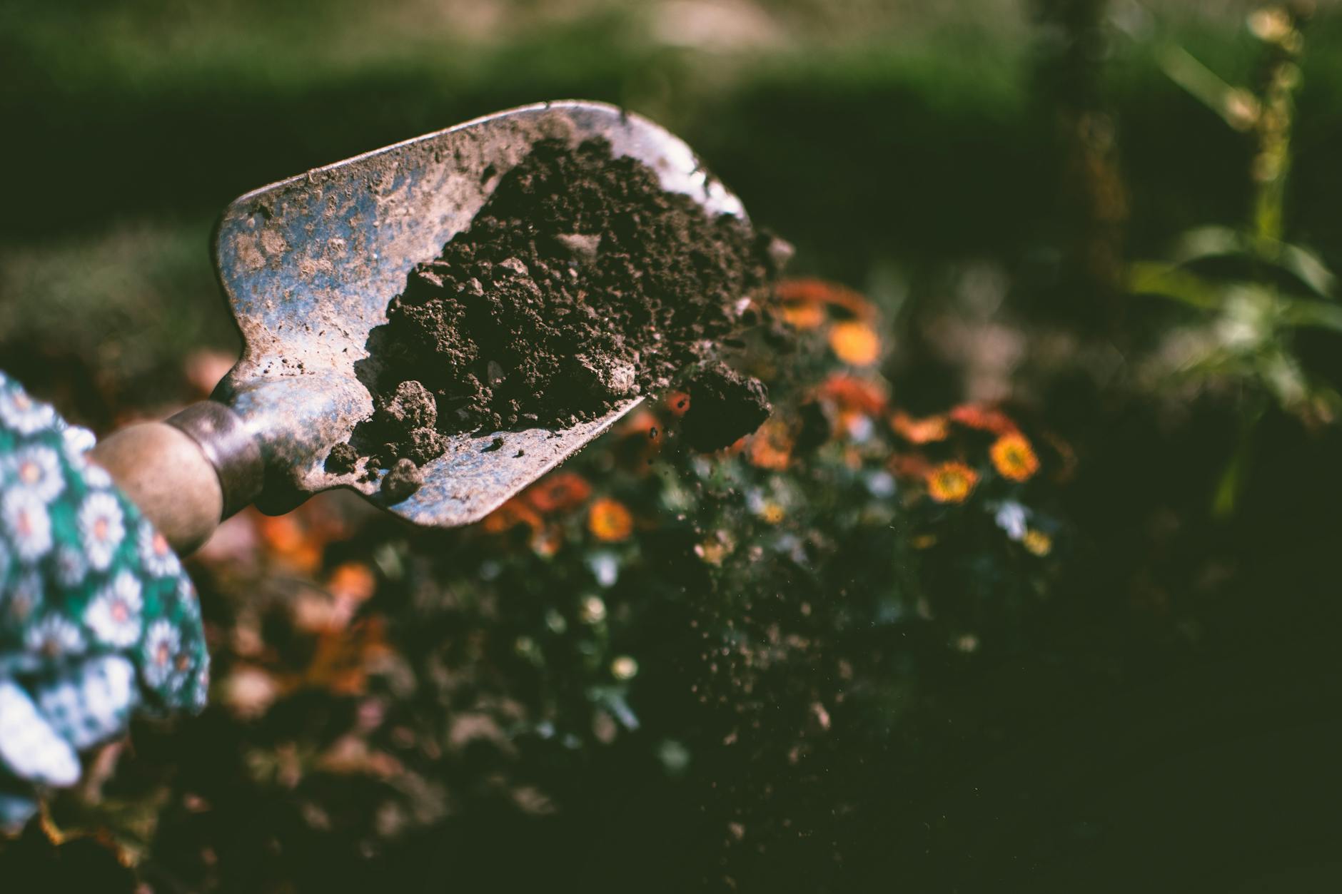A person gardening during volunteering in a cultural travel